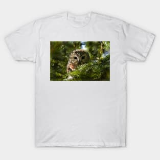 Northern Saw Whet Owl - Amherst Island, Ontario, Canada T-Shirt